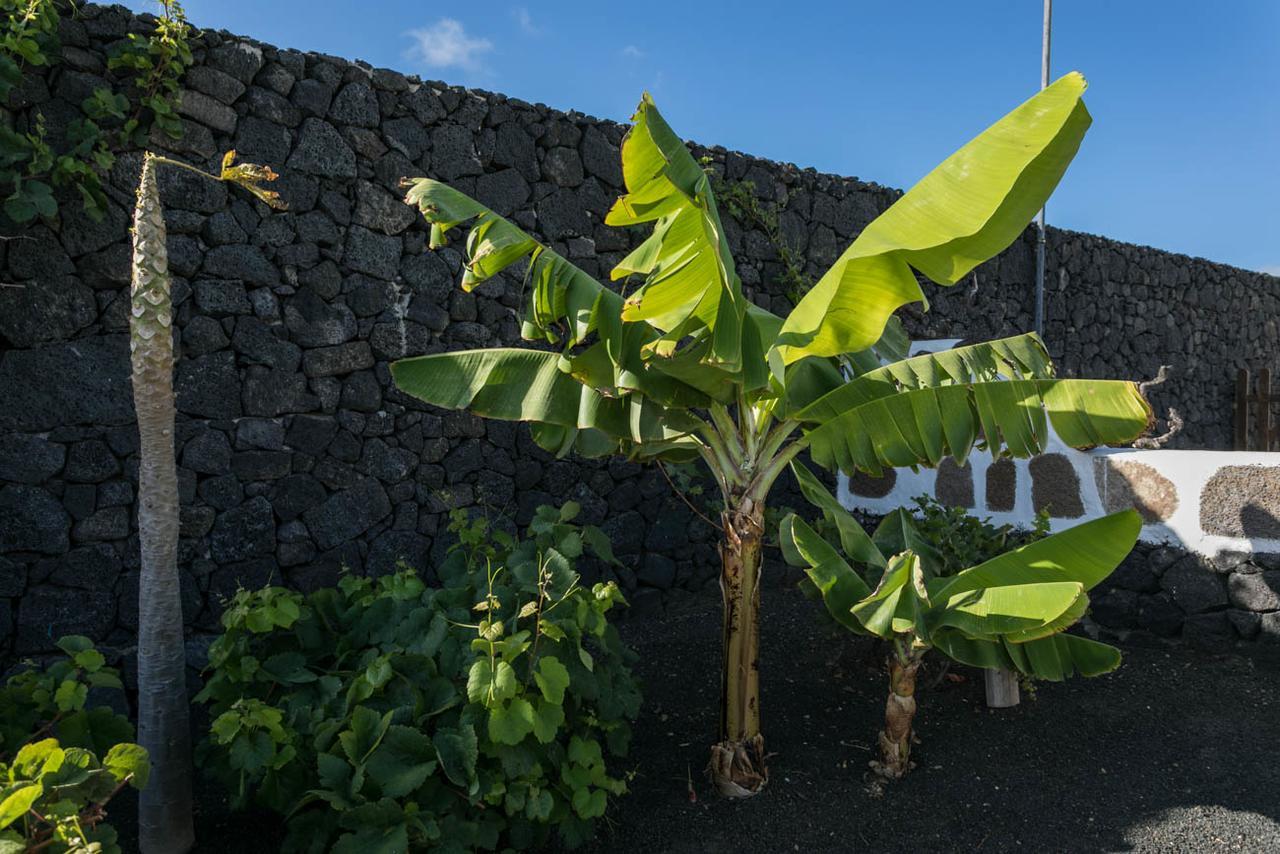 Villa El Jable Lanzarote Teguise  Eksteriør billede